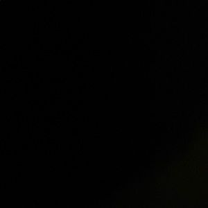 Meet your Posher, Kayden